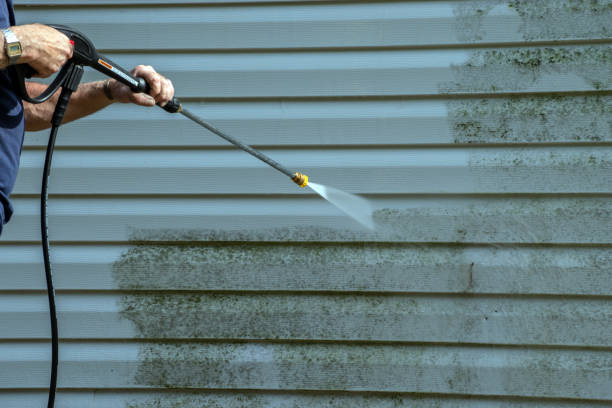 Best Gutter Cleaning  in Jamestown West, NY